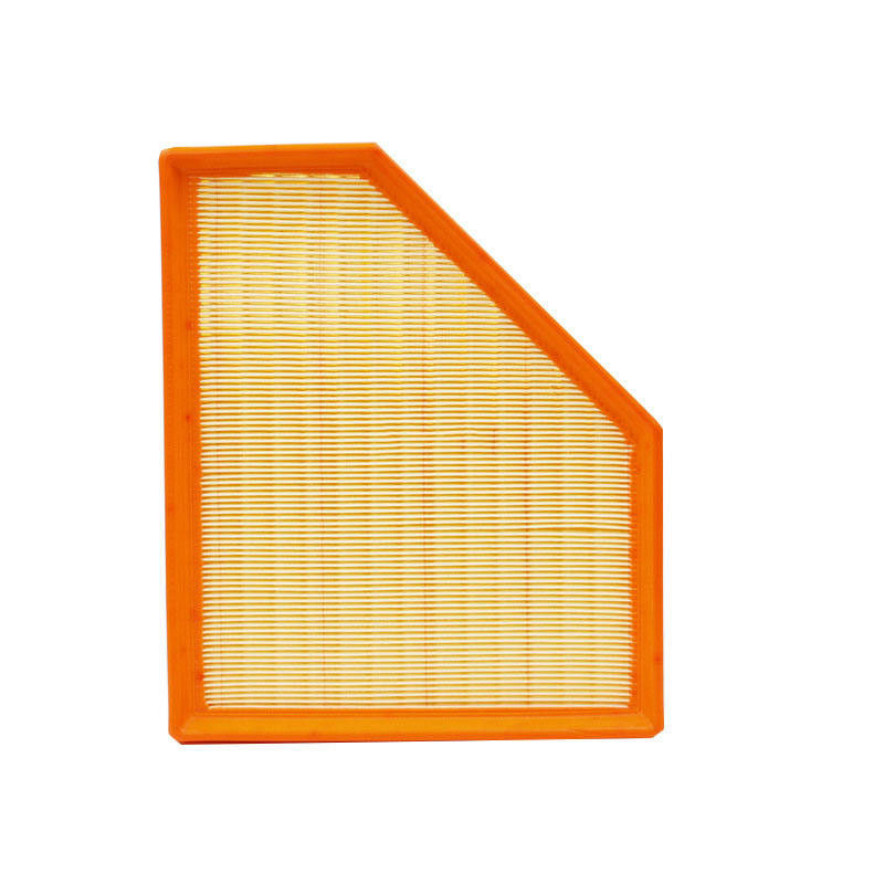 Ricambi di veicoli Elemento di filtro dell'aria per auto 13718605164 Usato per BMW X1 X3
